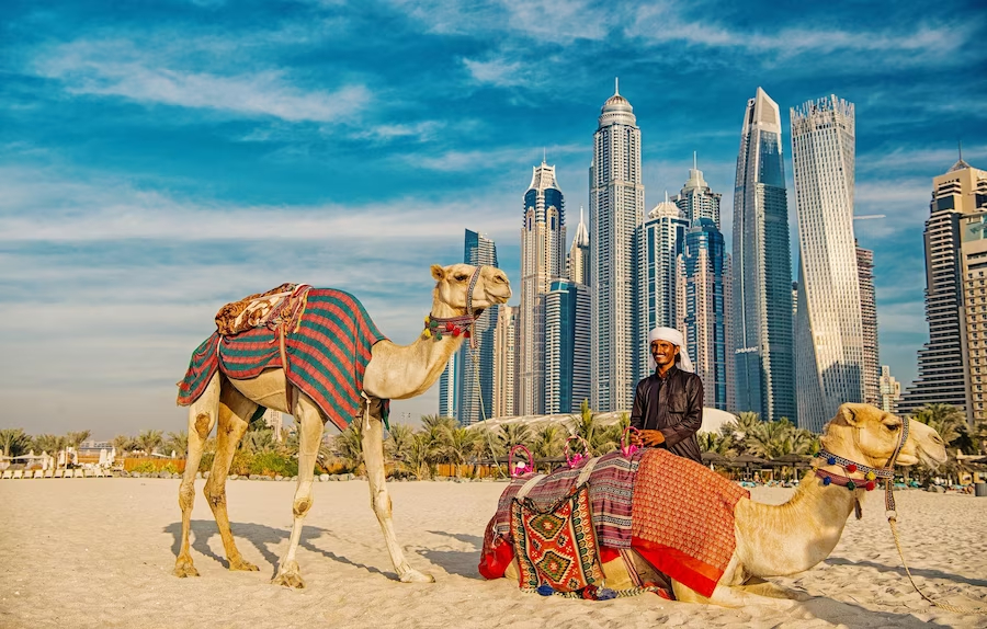 Quartier Al Fahidi et vieux Dubaï